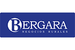 BERGARA