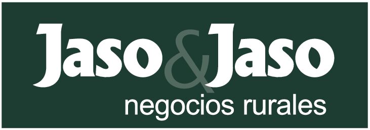 JASO & JASO