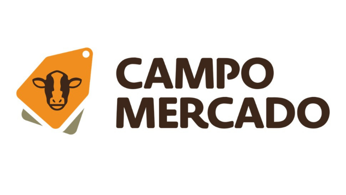 CAMPO MERCADO