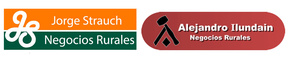 JORGE STRAUCH NEG. RURALES, ALEJANDRO ILUNDAIN NEGOCIOS RURALES