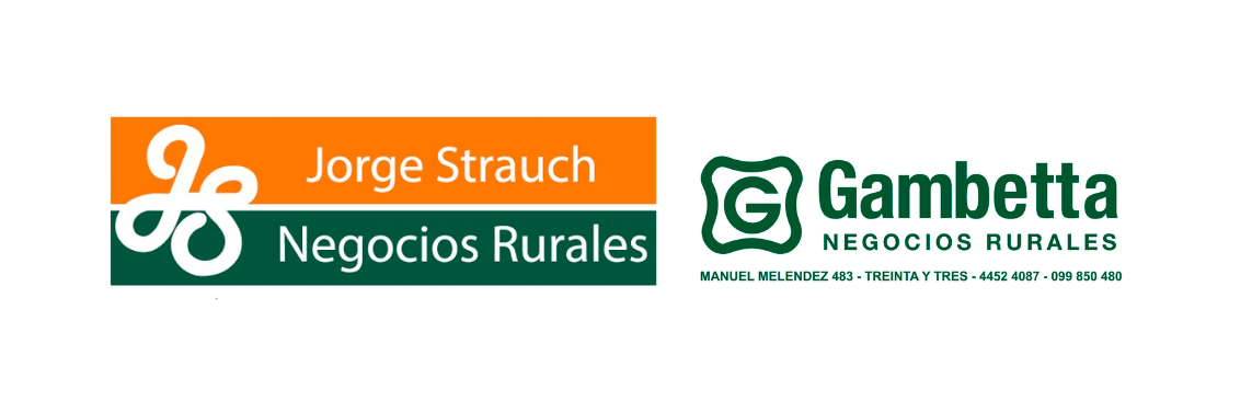 GAMBETTA NEGOCIOS RURALES & JORGE STRAUCH NEG. RURALES