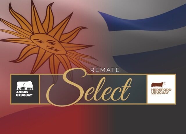 REMATE SELECT DE PRIMAVERA 2022