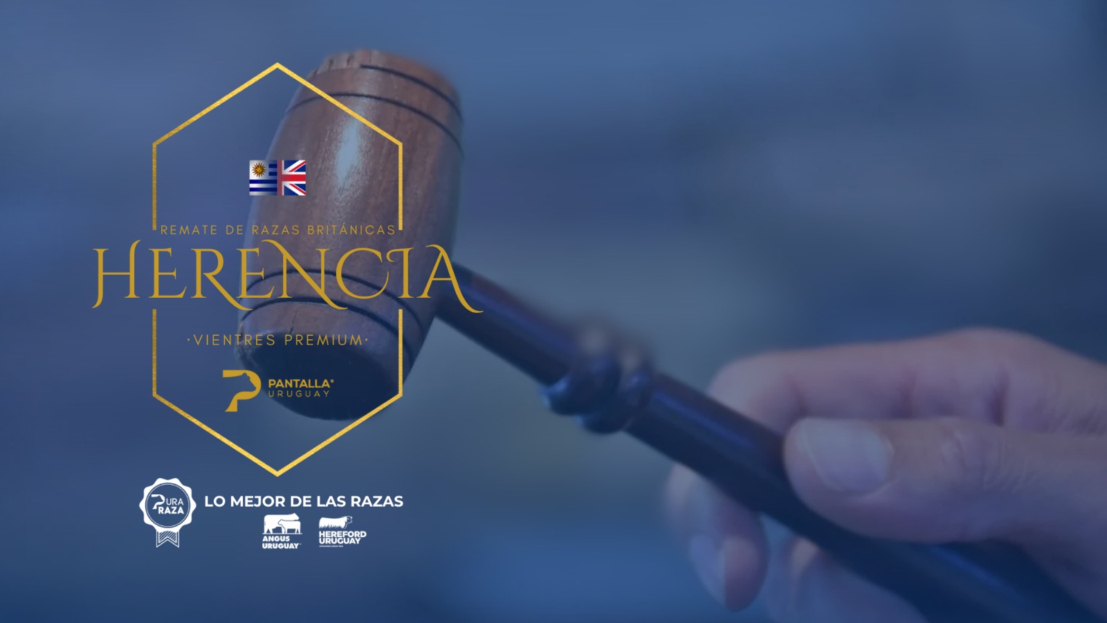 Herencia de Vientres Premium