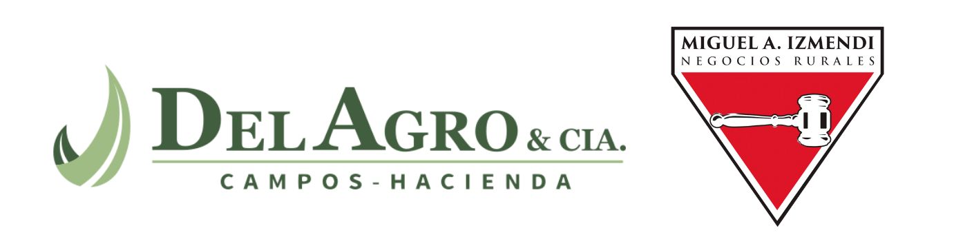 ESC. MIGUEL ANGEL IZMENDI y DELAGRO Y CIA.